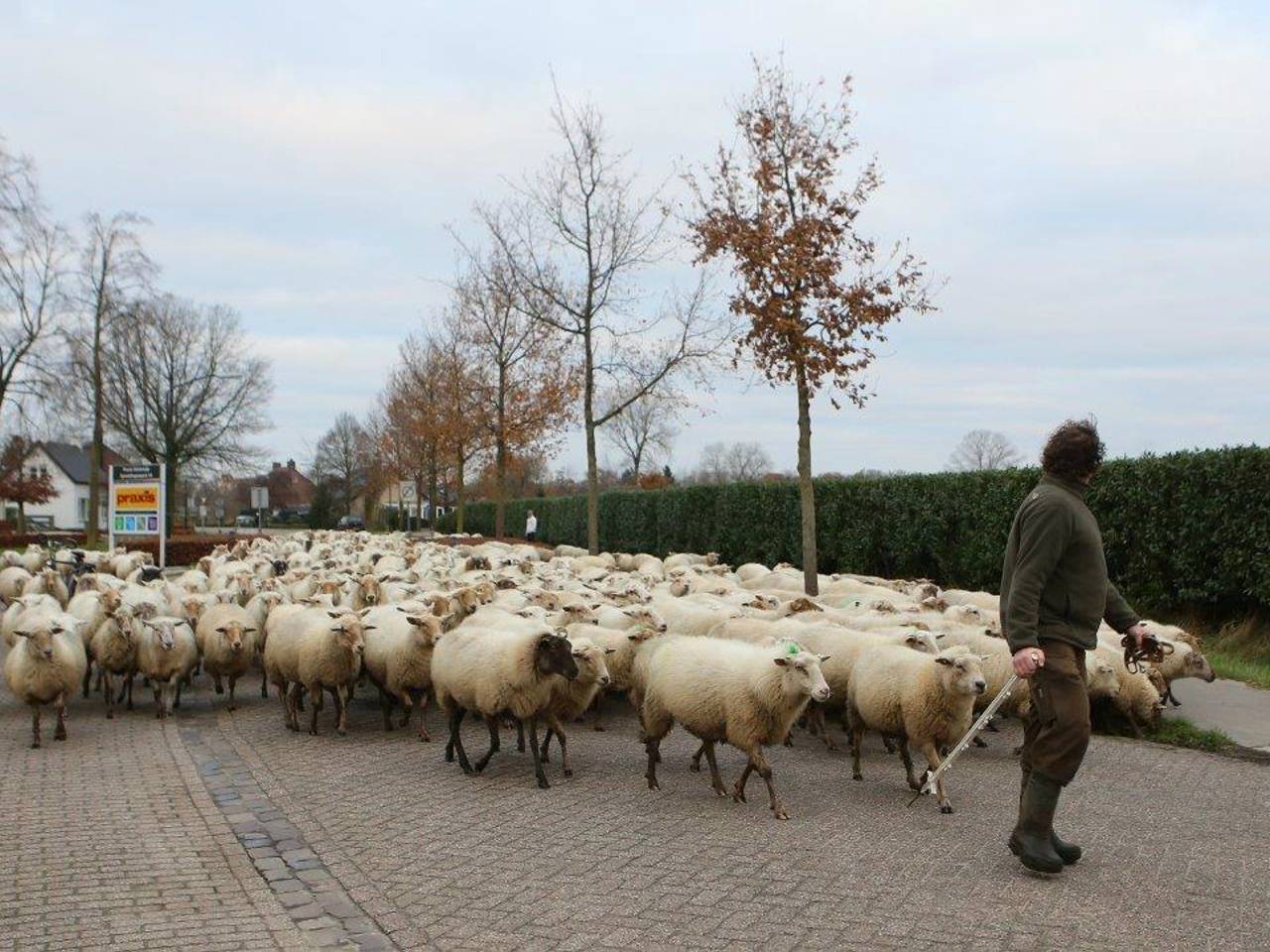 Omroep Brabant
