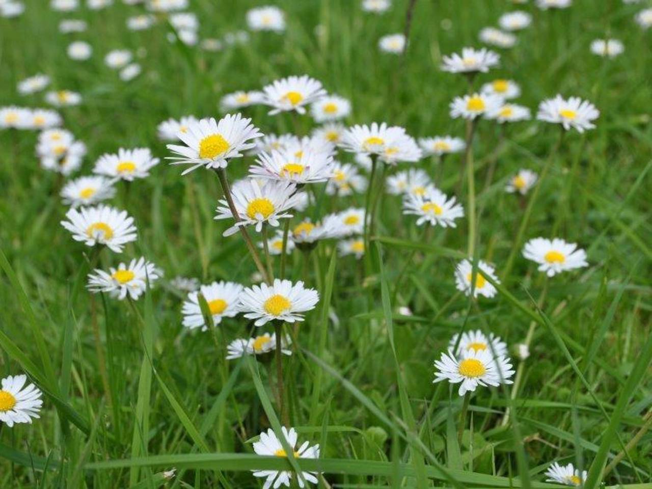Omroep Brabant