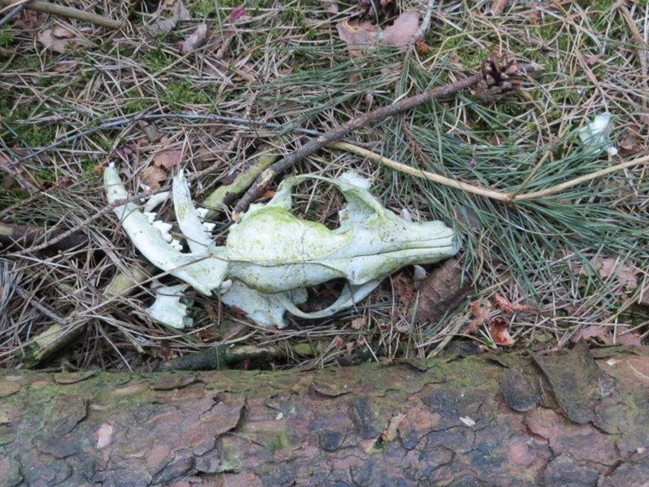 Omroep Brabant