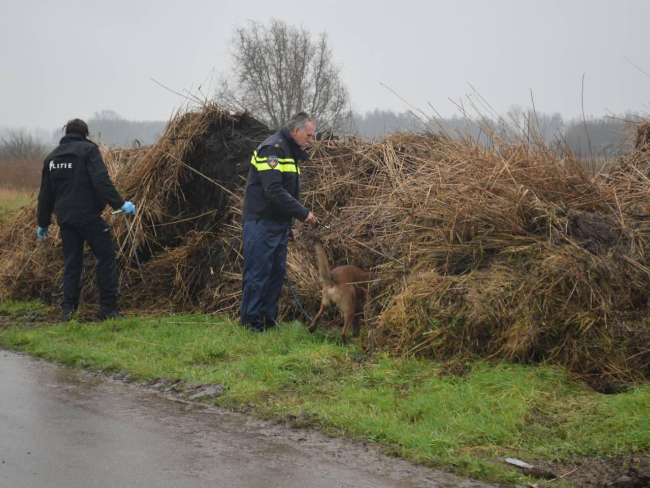 Omroep Brabant