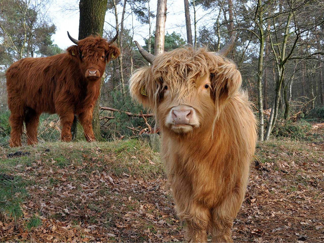 Omroep Brabant