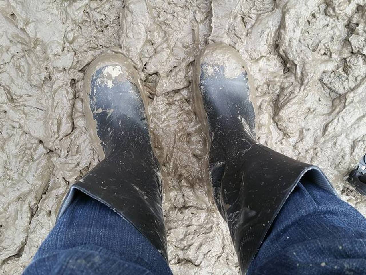 Omroep Brabant