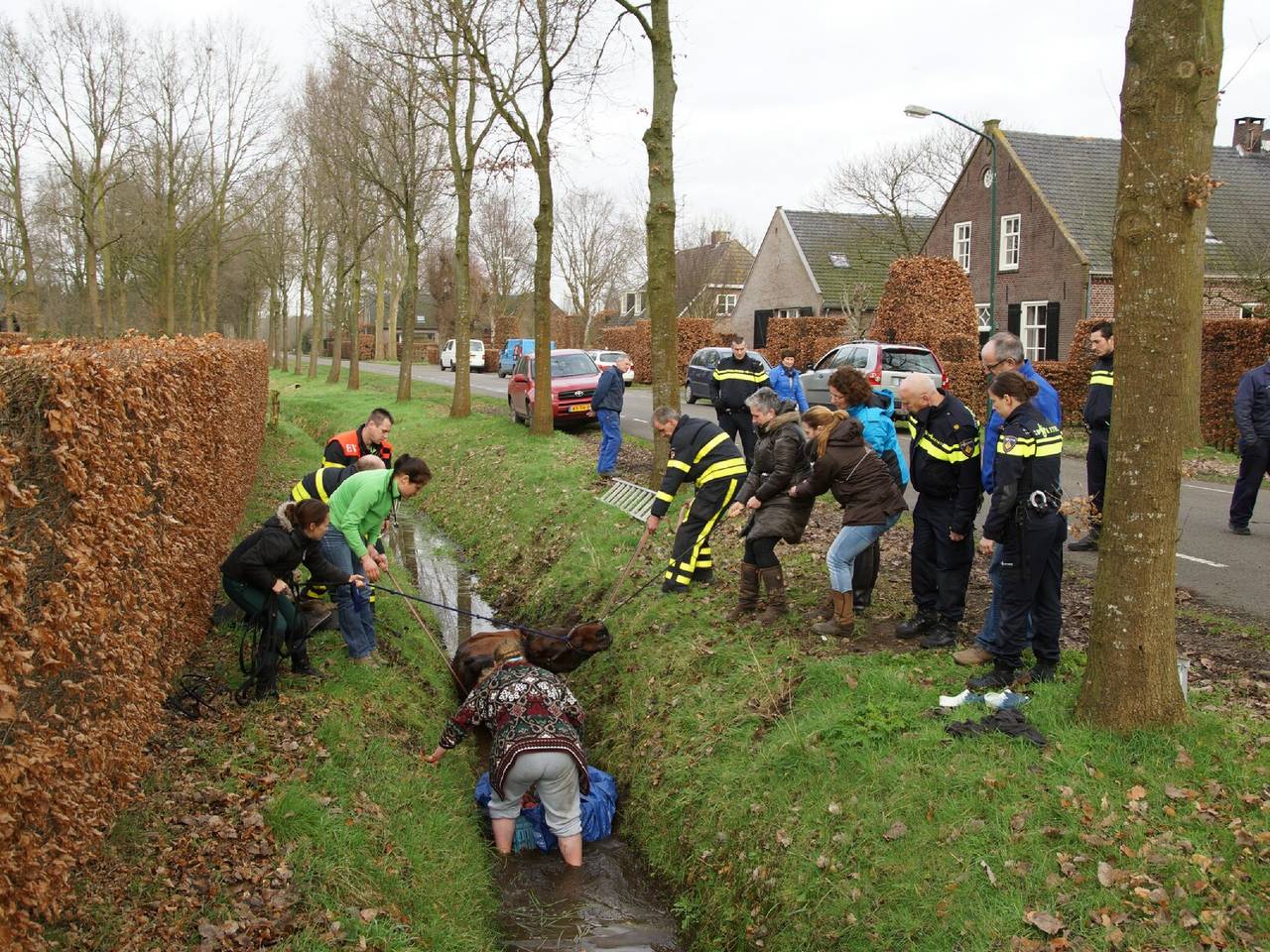 Omroep Brabant