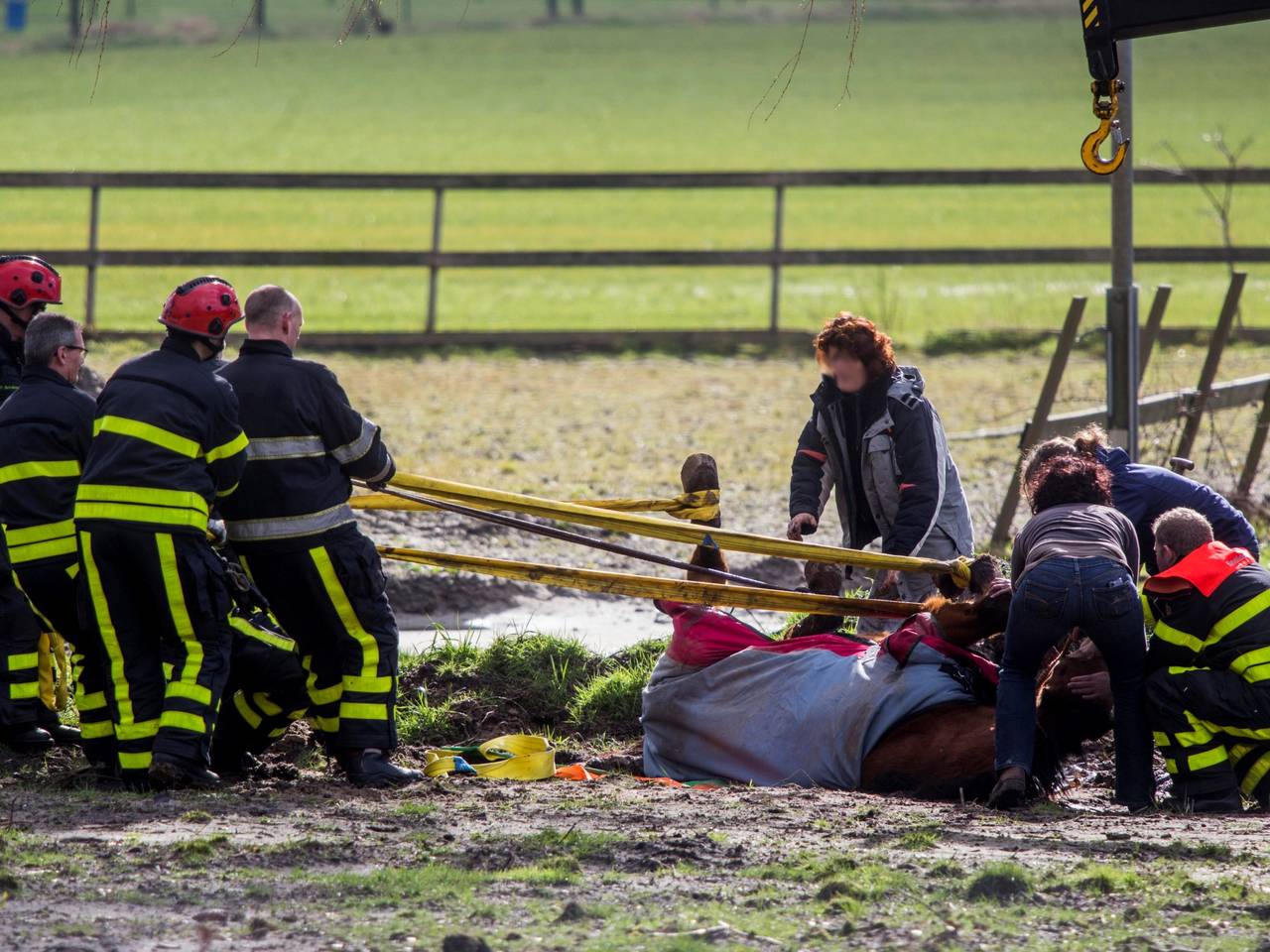 Omroep Brabant