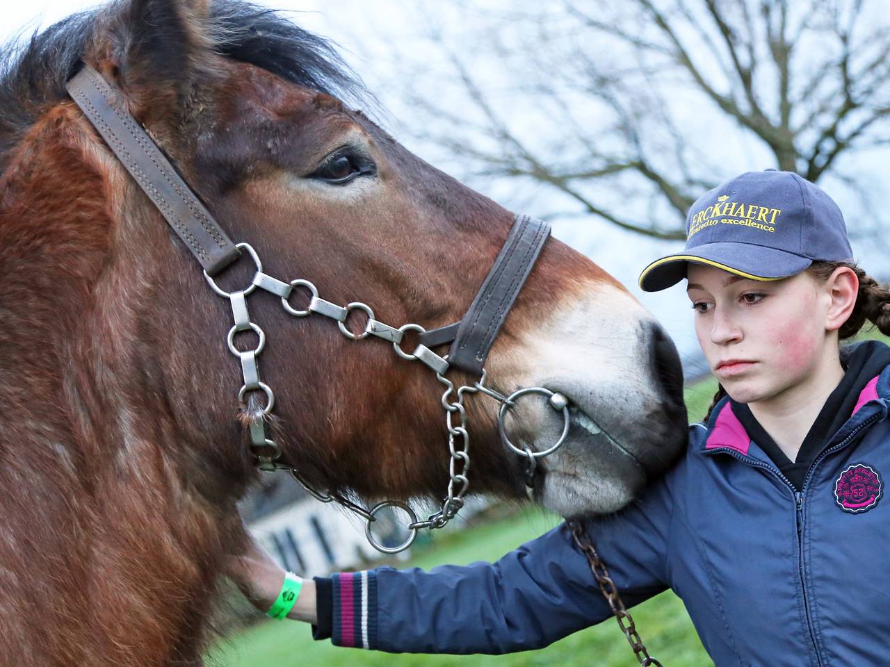 Omroep Brabant