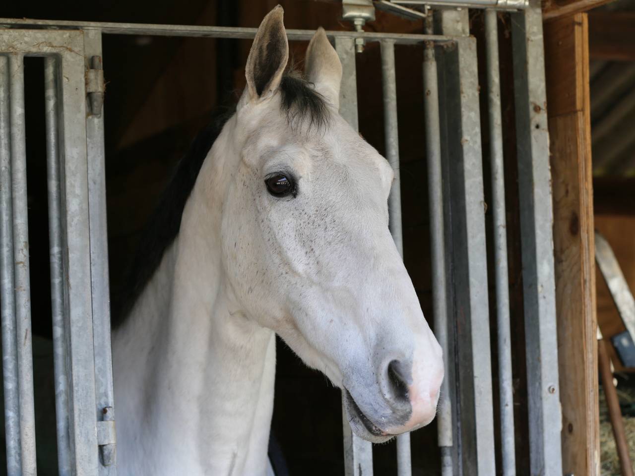 Omroep Brabant