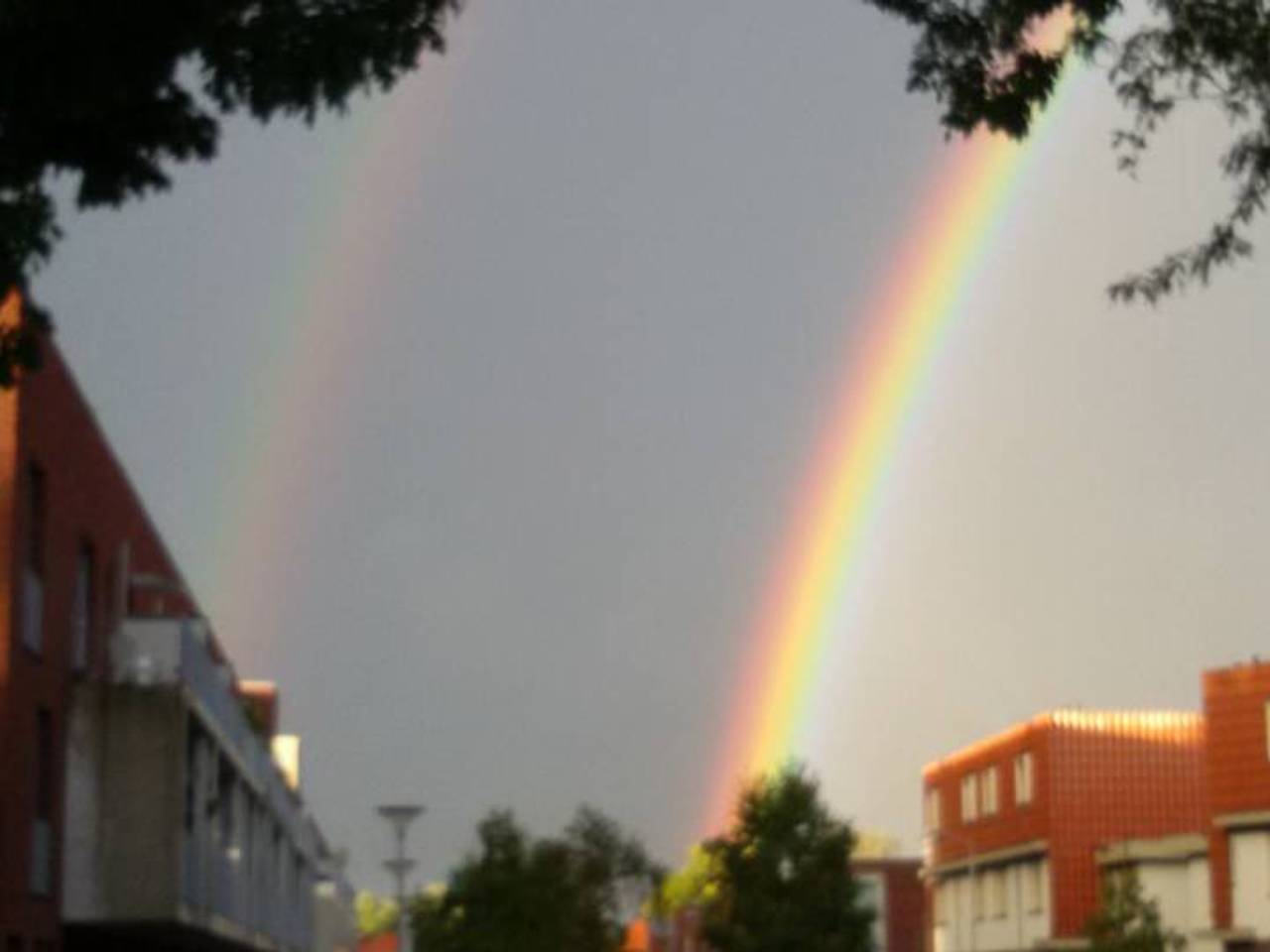 Omroep Brabant