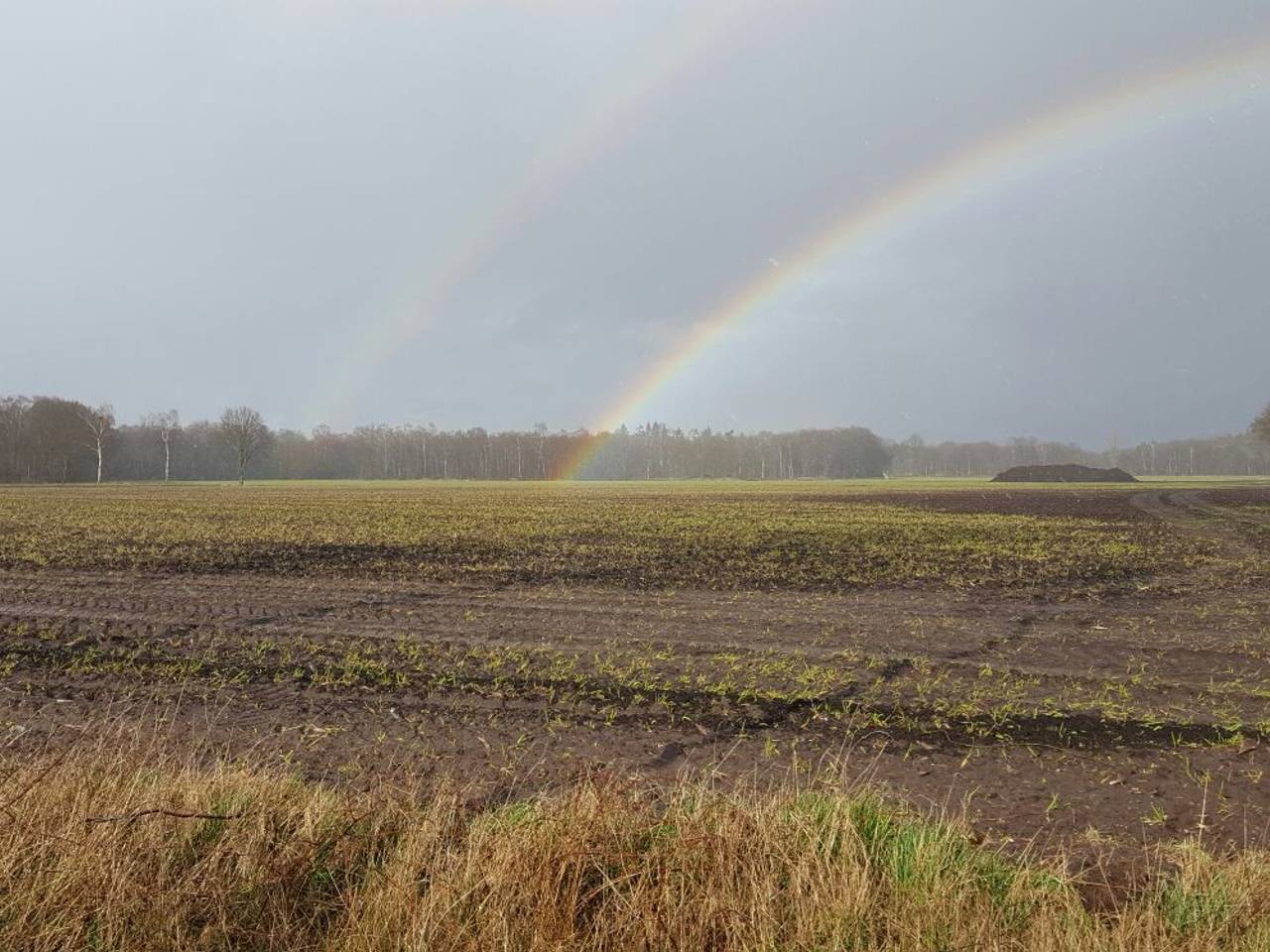 Omroep Brabant