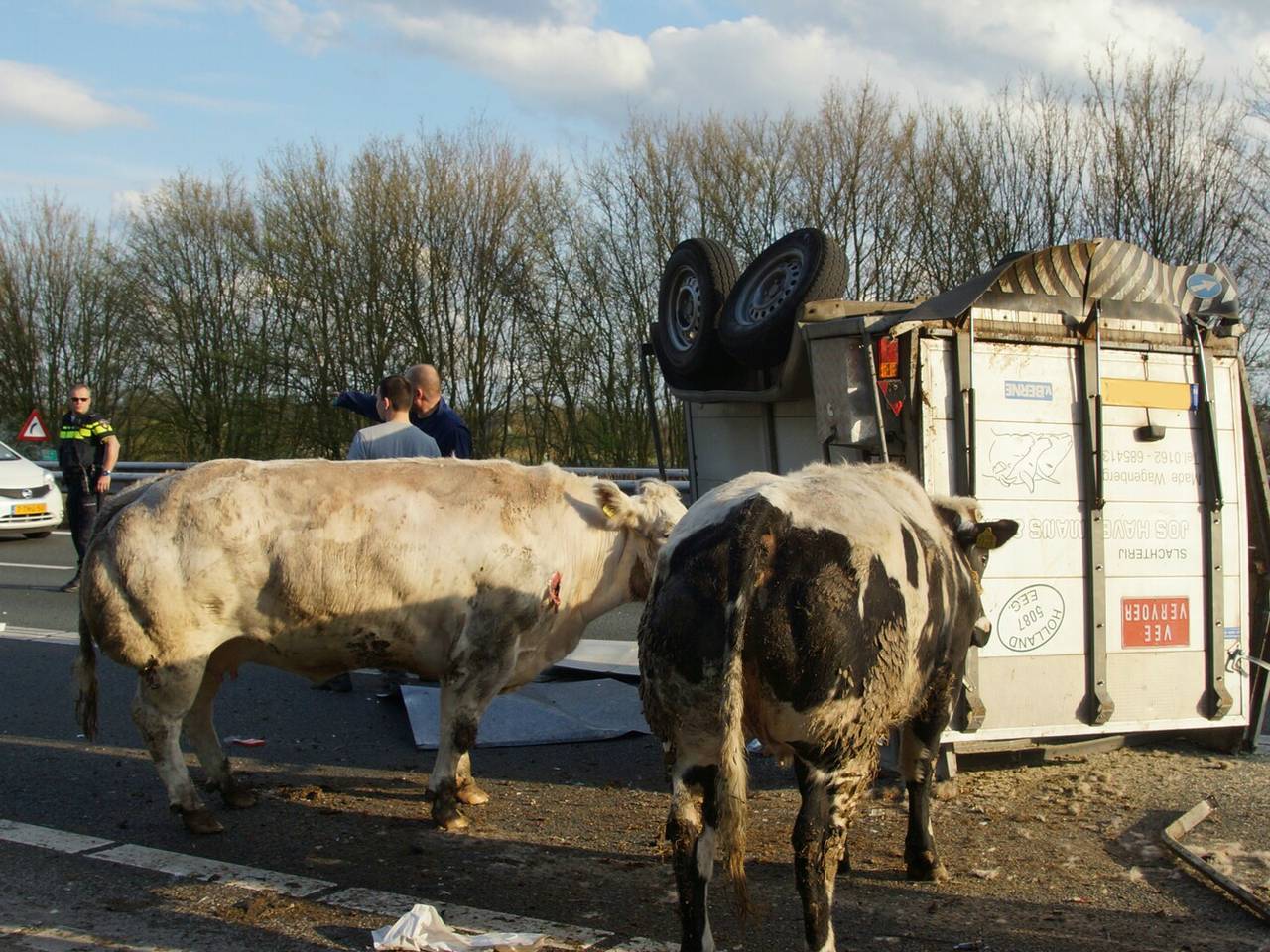 Omroep Brabant