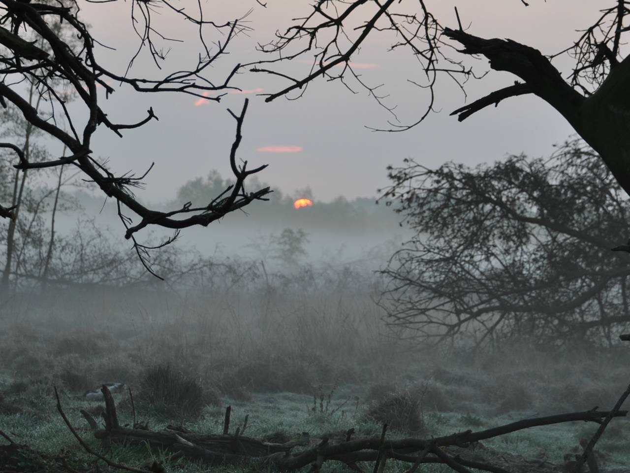 Omroep Brabant