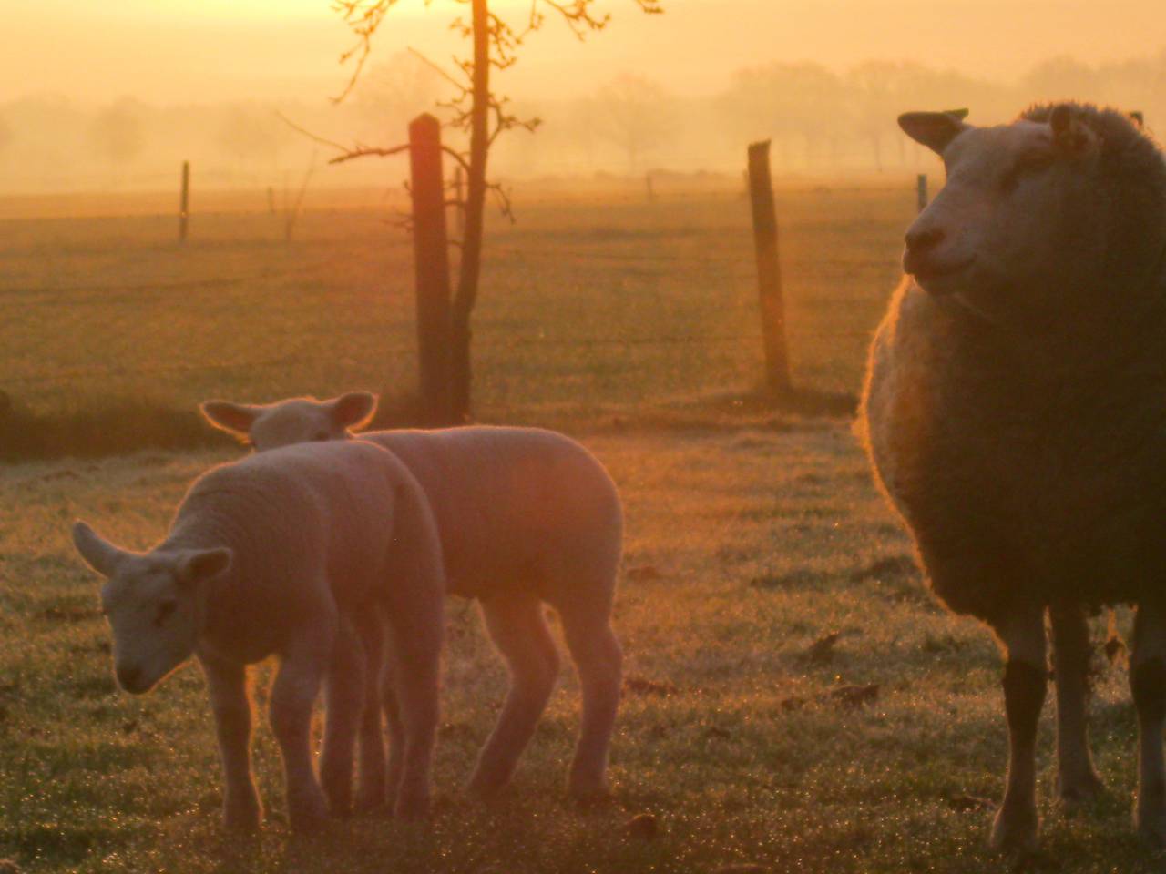 Omroep Brabant
