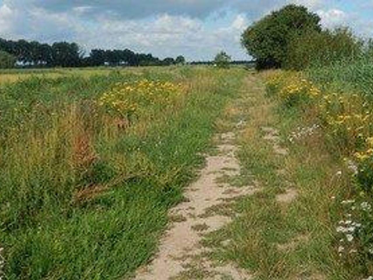 Omroep Brabant