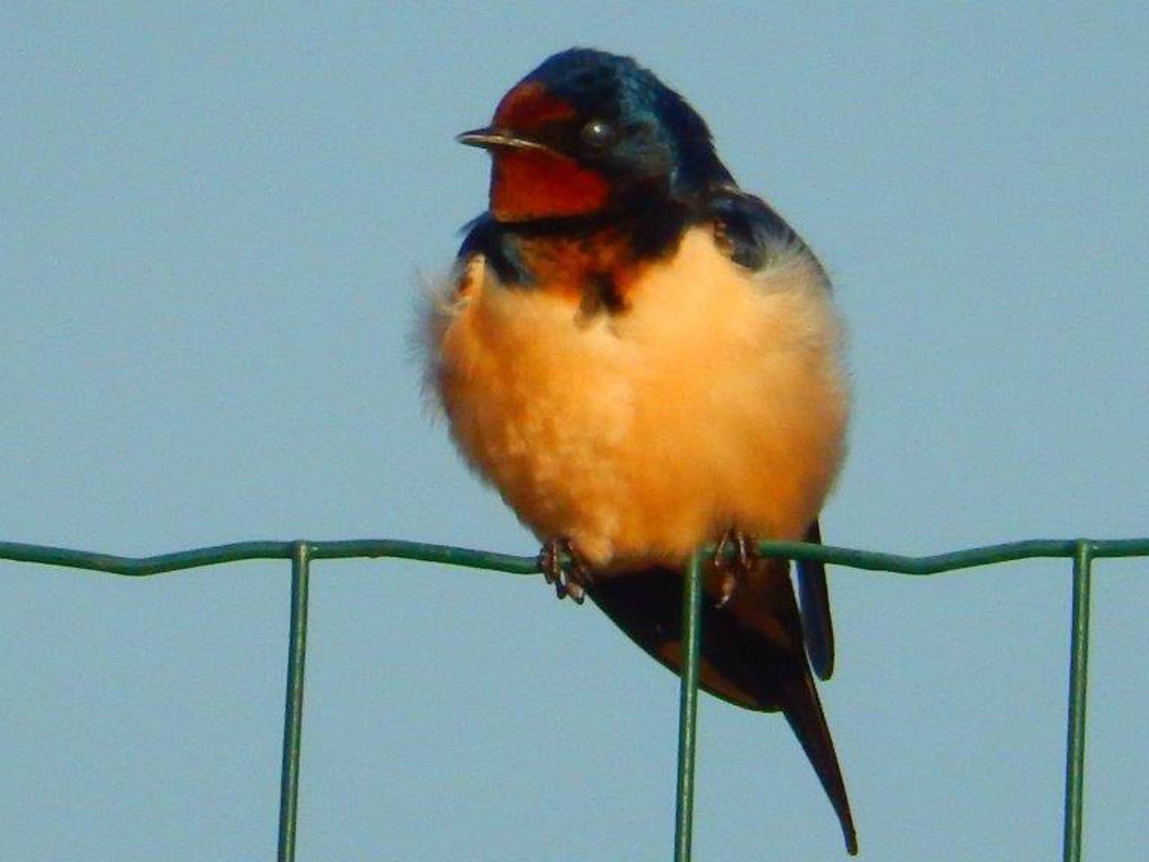 Omroep Brabant