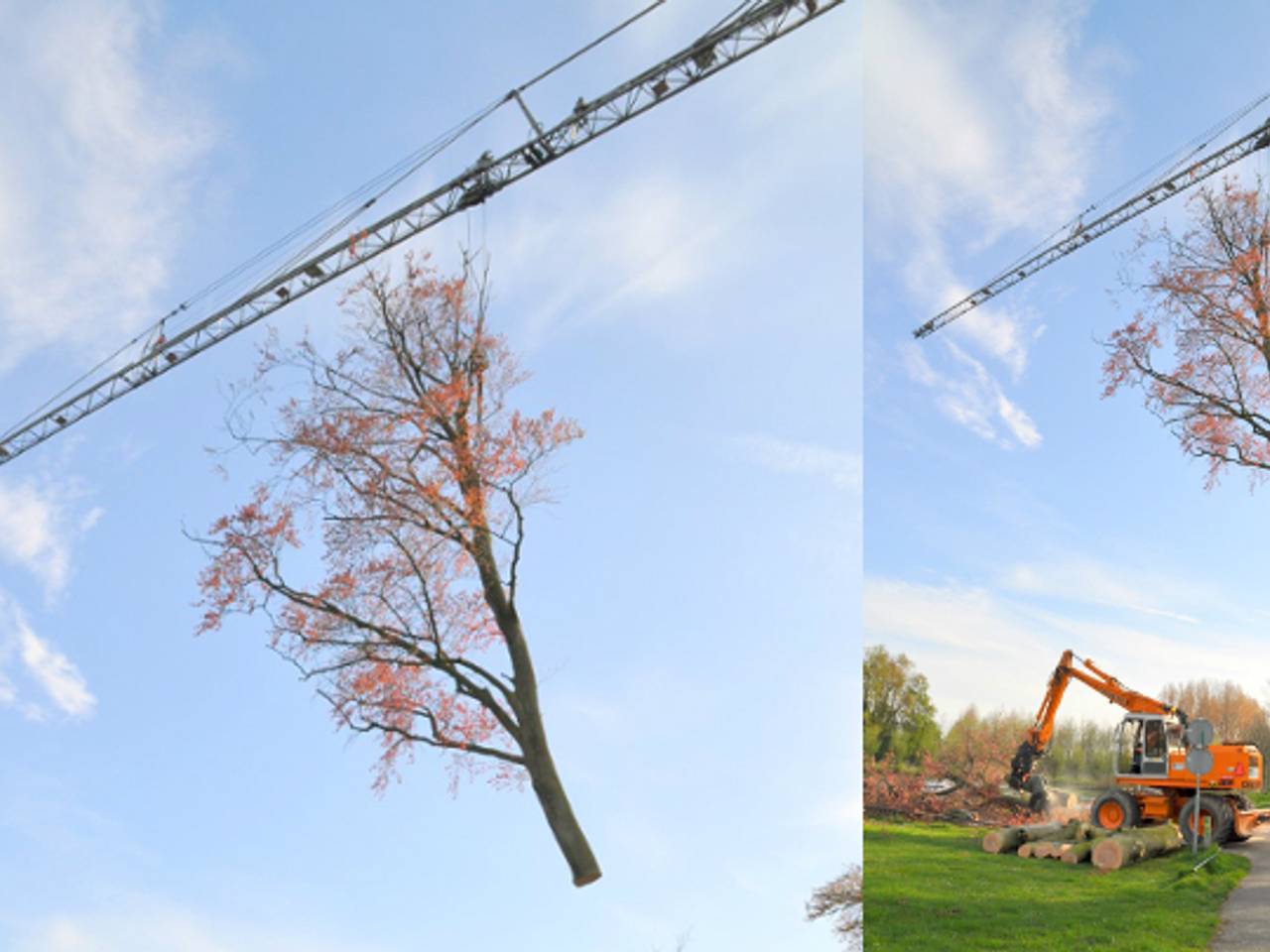 Omroep Brabant