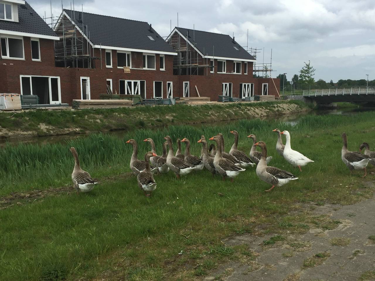 Omroep Brabant