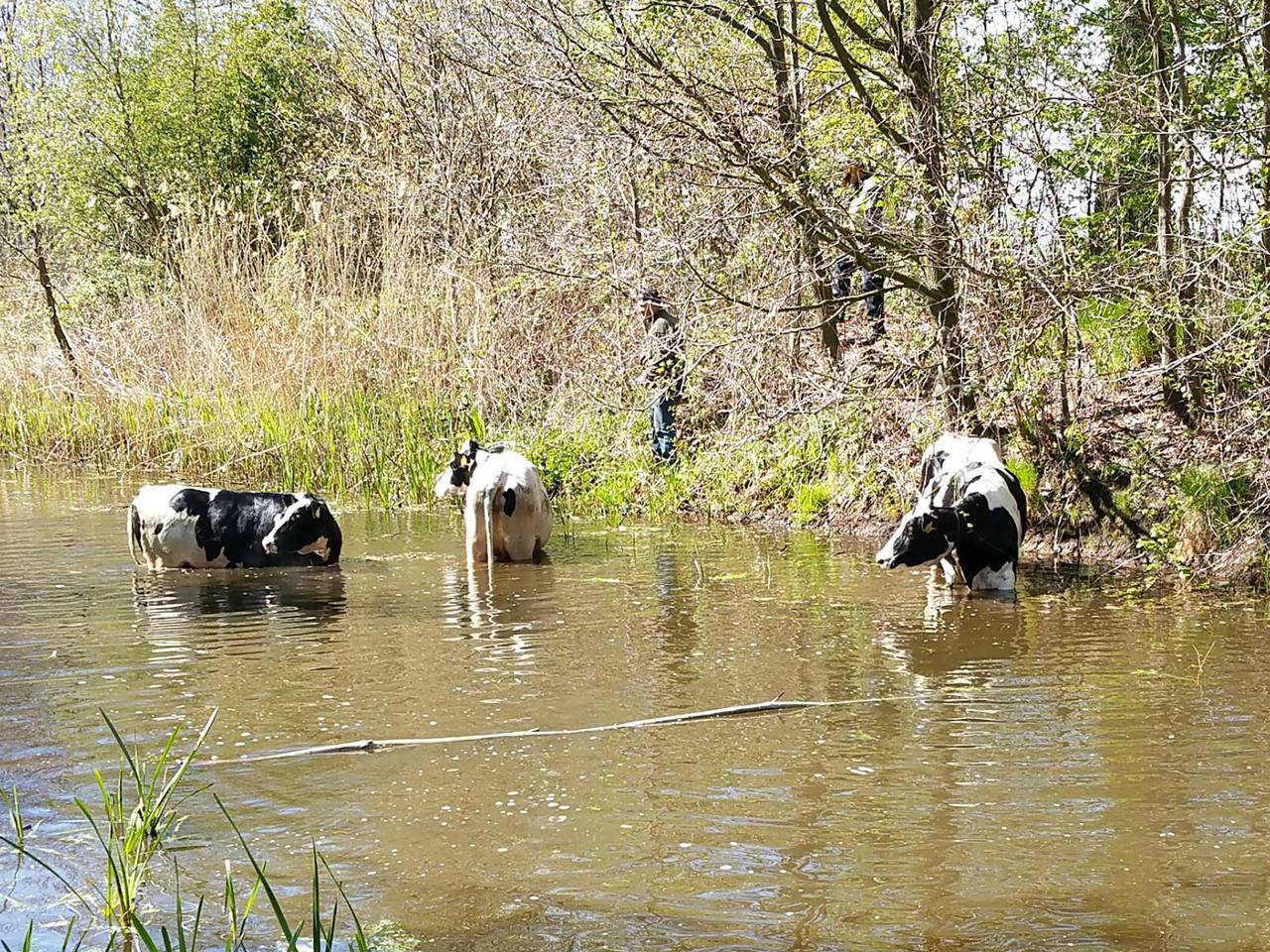 Omroep Brabant