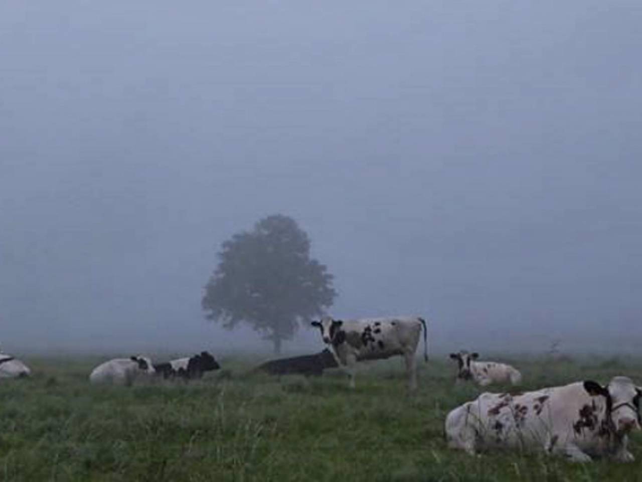 Omroep Brabant