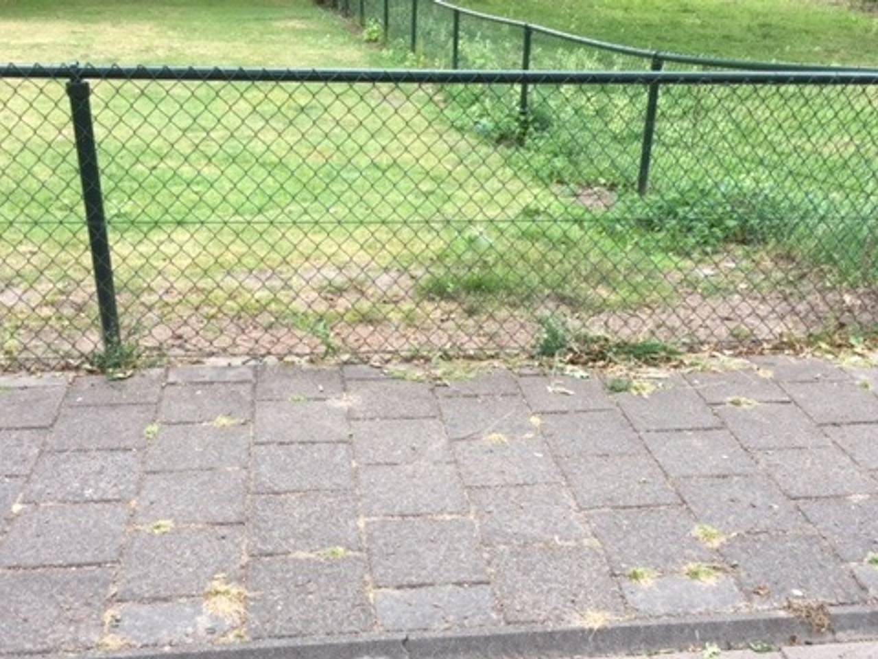 Omroep Brabant