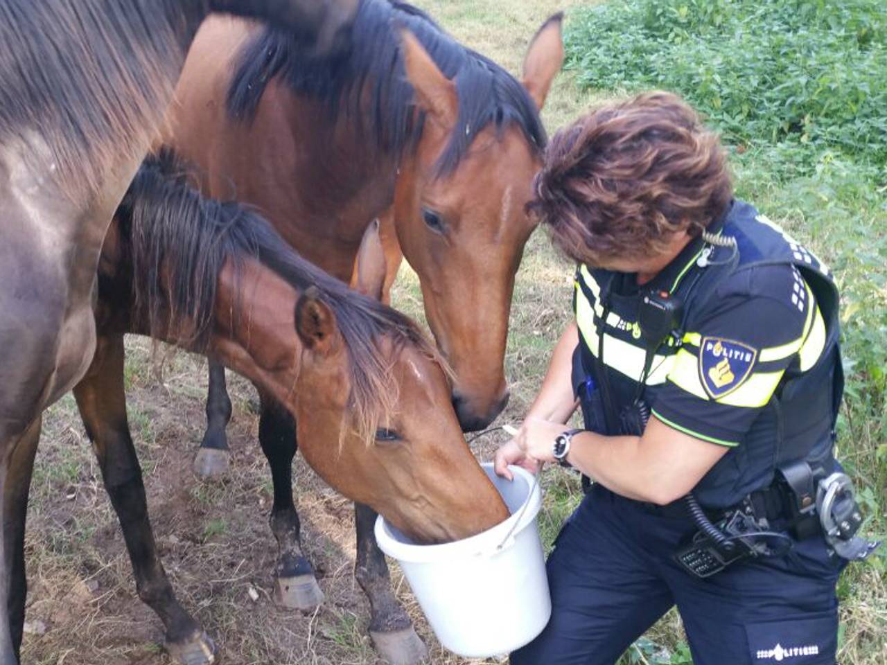 Omroep Brabant