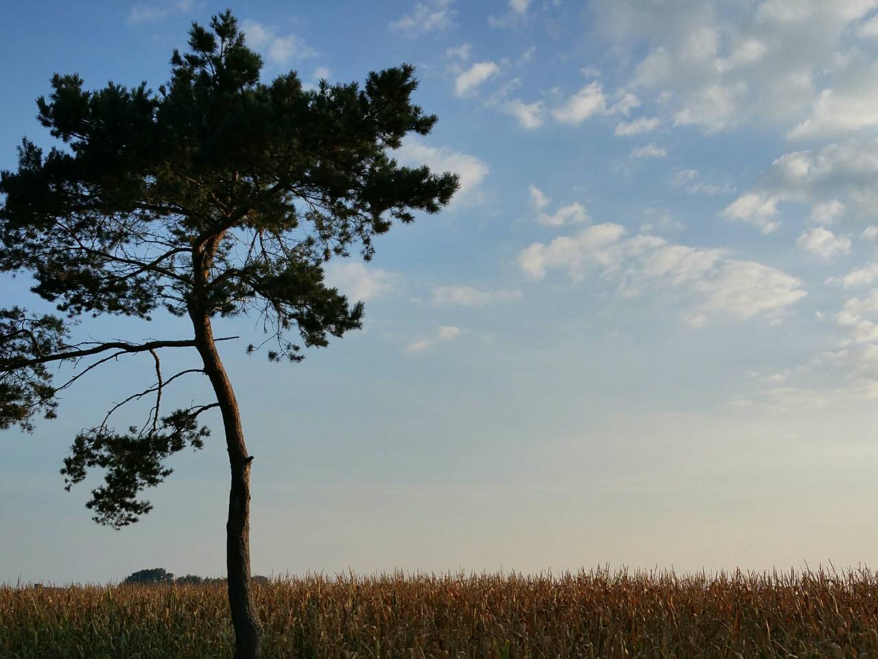 Omroep Brabant