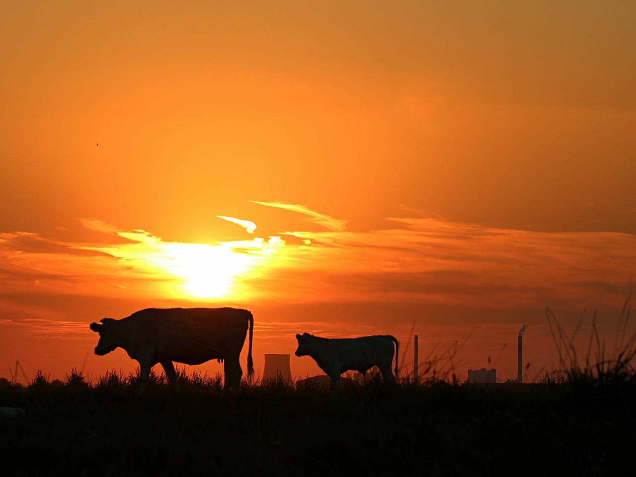 Omroep Brabant