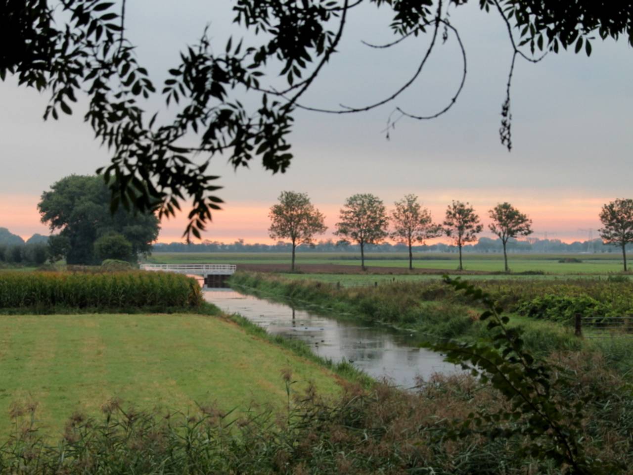Omroep Brabant