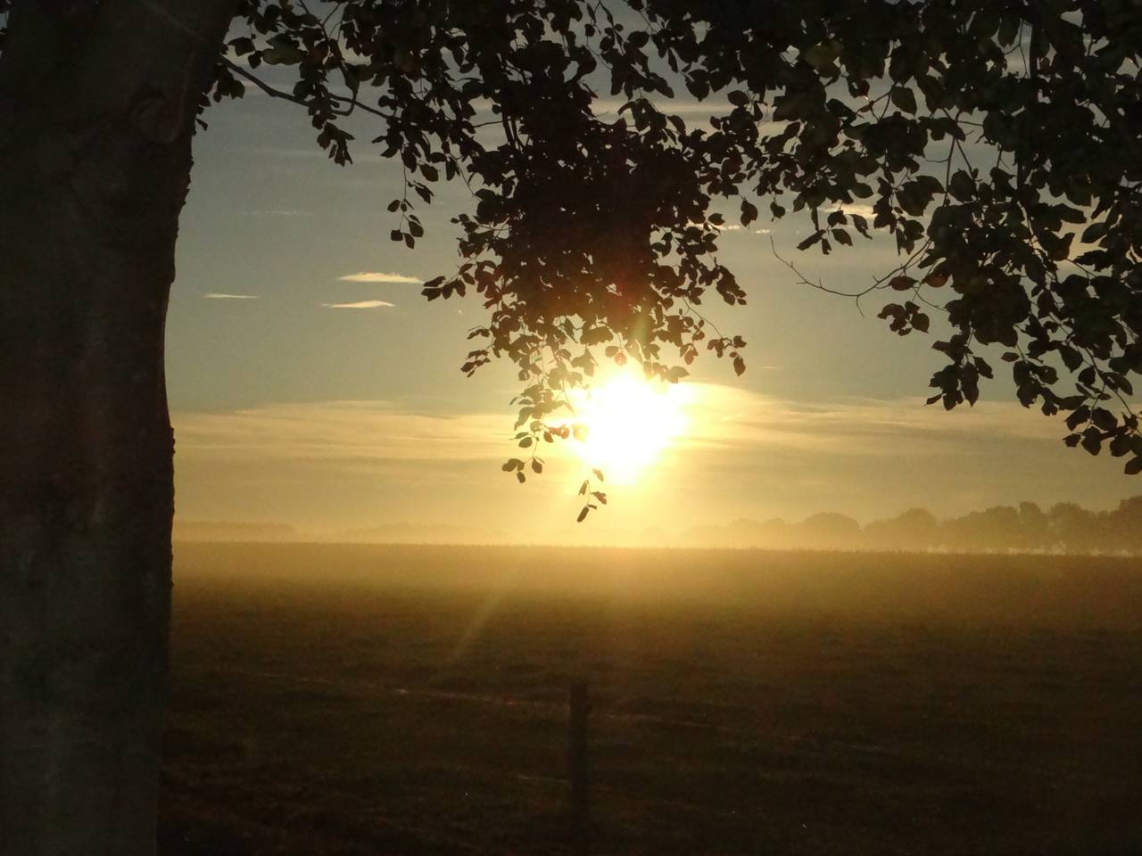 Omroep Brabant