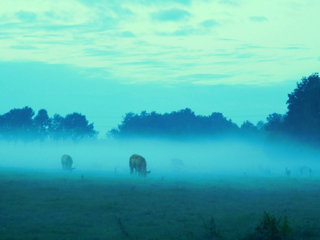 Omroep Brabant