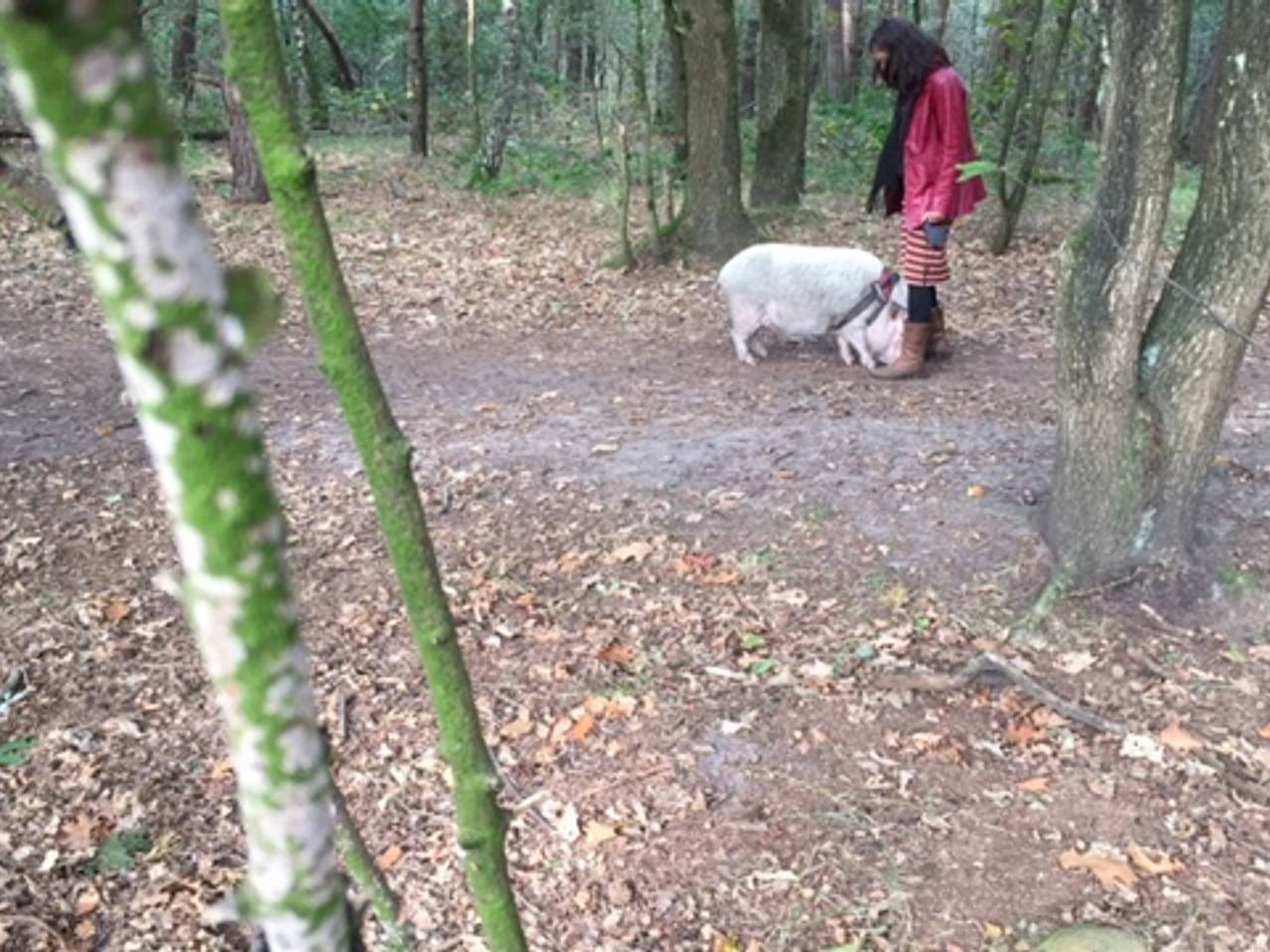 Omroep Brabant