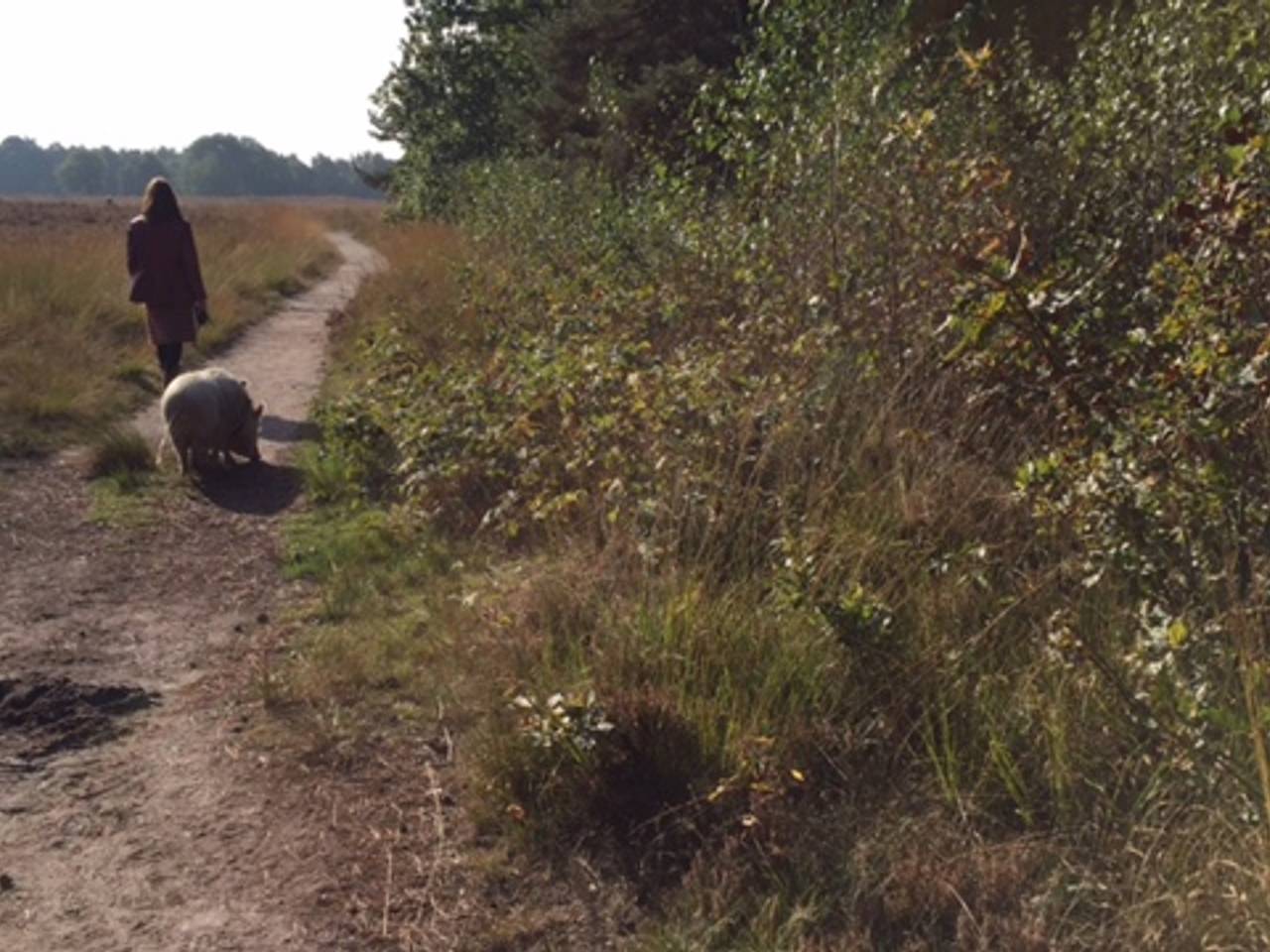 Omroep Brabant