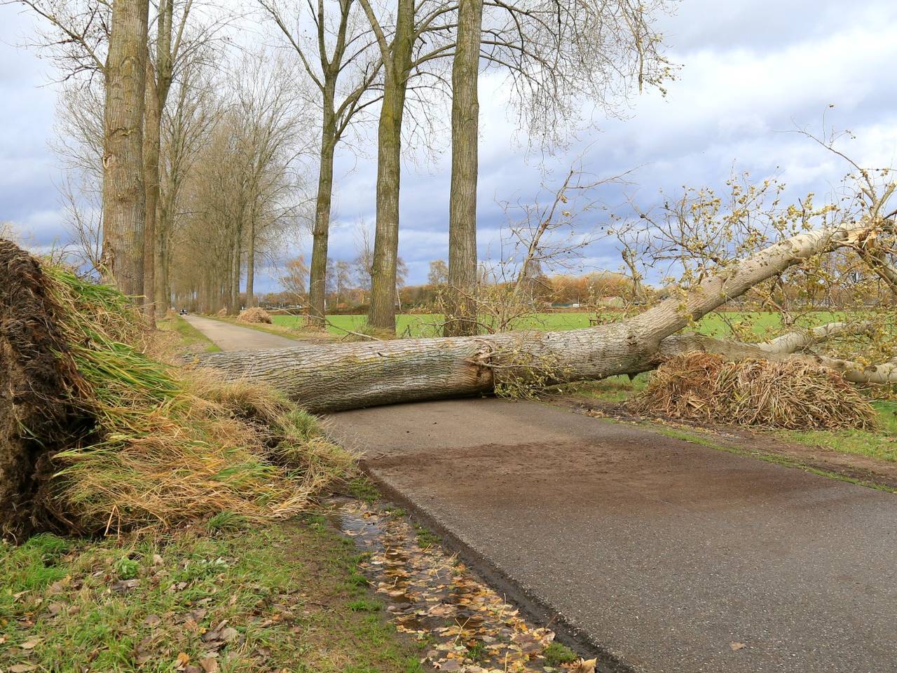 Omroep Brabant