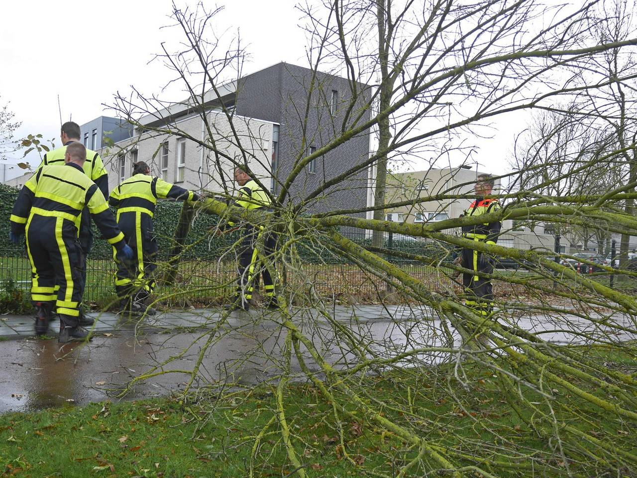Omroep Brabant