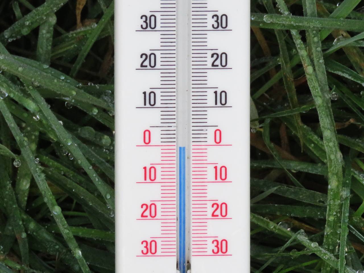 Foto: Peter van der Schoot