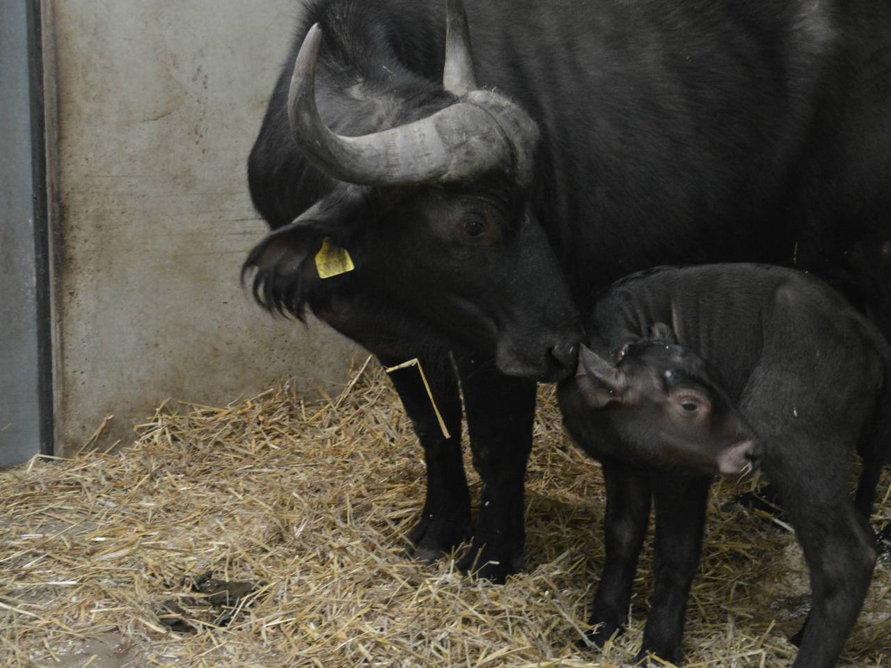 Omroep Brabant