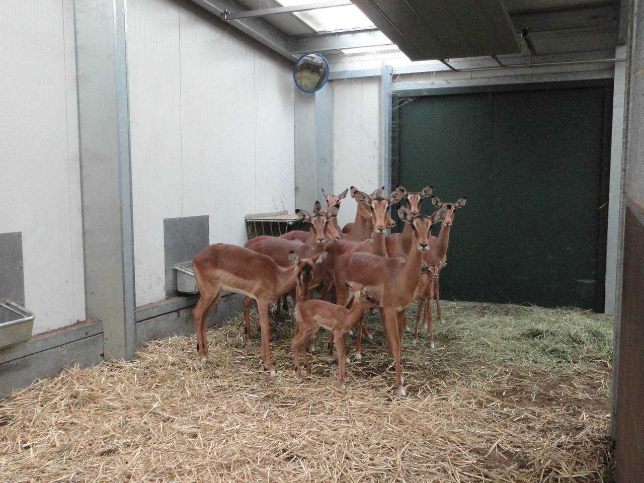 Omroep Brabant