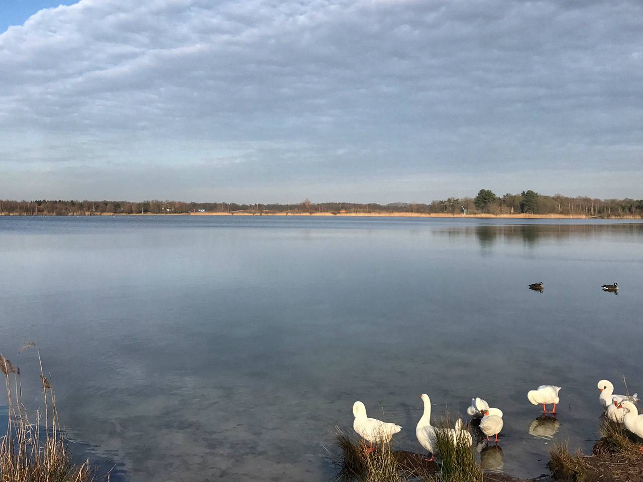 Omroep Brabant