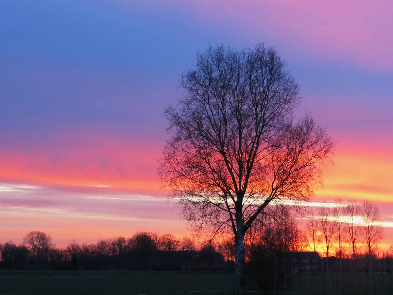 Omroep Brabant