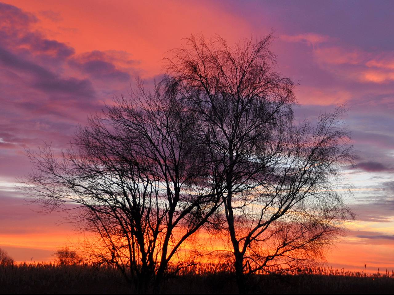 Omroep Brabant