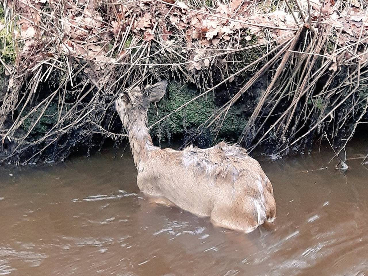 Omroep Brabant