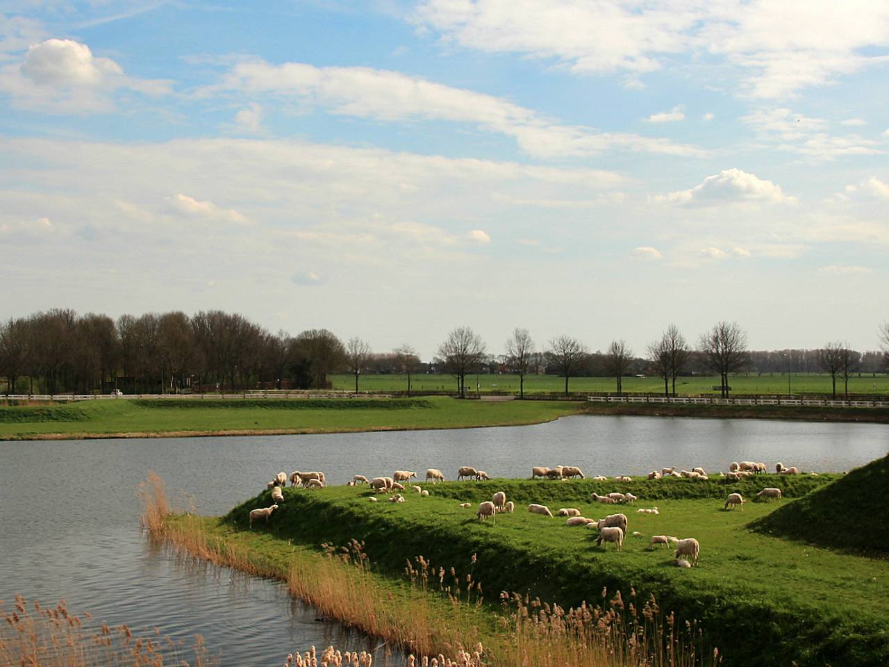 Omroep Brabant