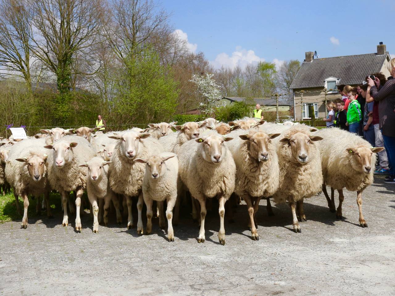 Omroep Brabant