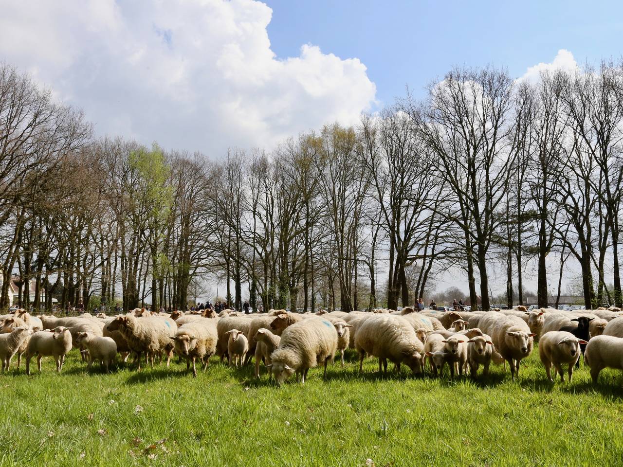 Omroep Brabant