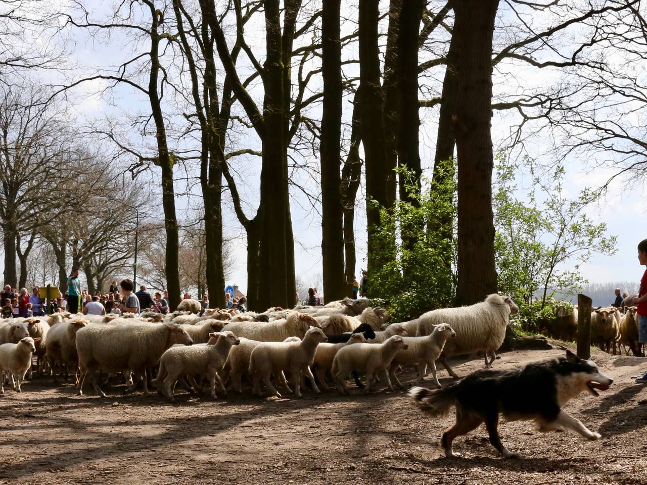Omroep Brabant
