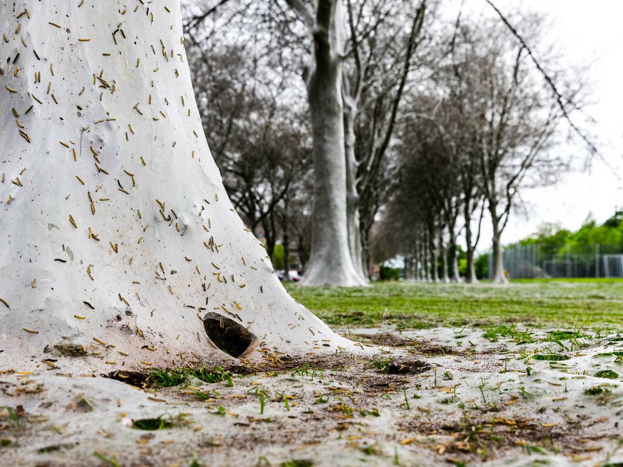 Omroep Brabant