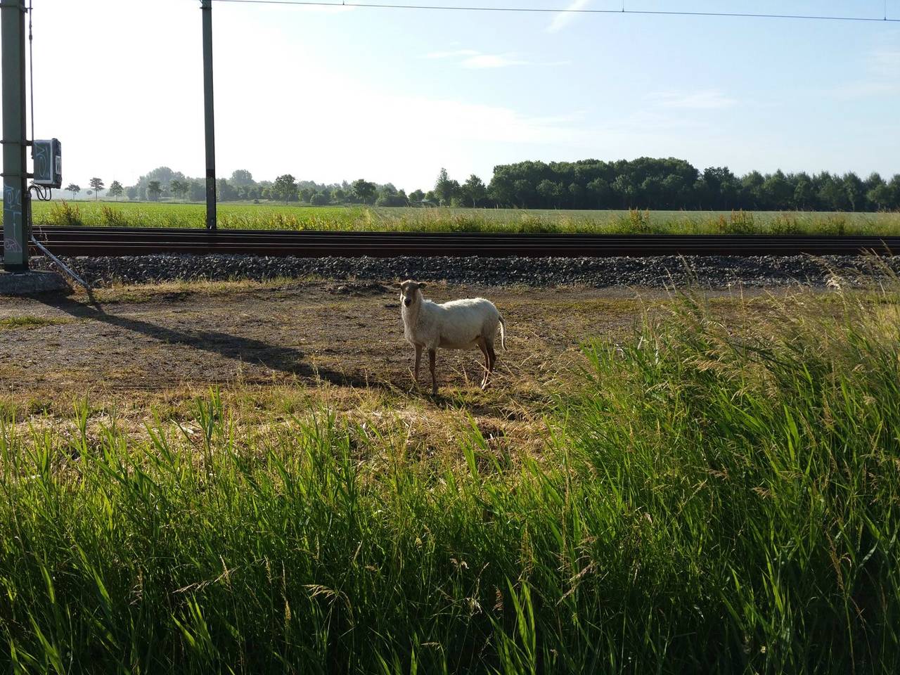 https://api.omroepbrabant.nl/img/f/$width$/$height$/0.5/0.5/bWVkaWEvcHJvZC8yNTExMjU4LmpwZz9zdj0yMDE5LTA3LTA3JnN0PTIwMjAtMDEtMDFUMDAlM0EwMCUzQTAwWiZzZT0yMDQwLTAxLTAxVDAwJTNBMDAlM0EwMFomc3I9YiZzcD1yJnNpZz11WXRFdEN3aHg4VkxqTDR5aVdwZHloeFIxSzNHR1IlMkJHJTJCYXZUQll3QXhLQSUzRA==