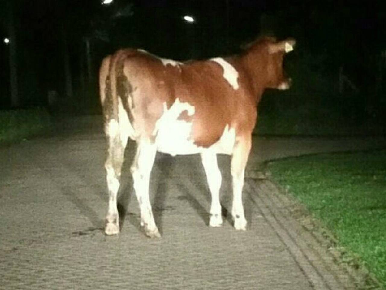 Omroep Brabant