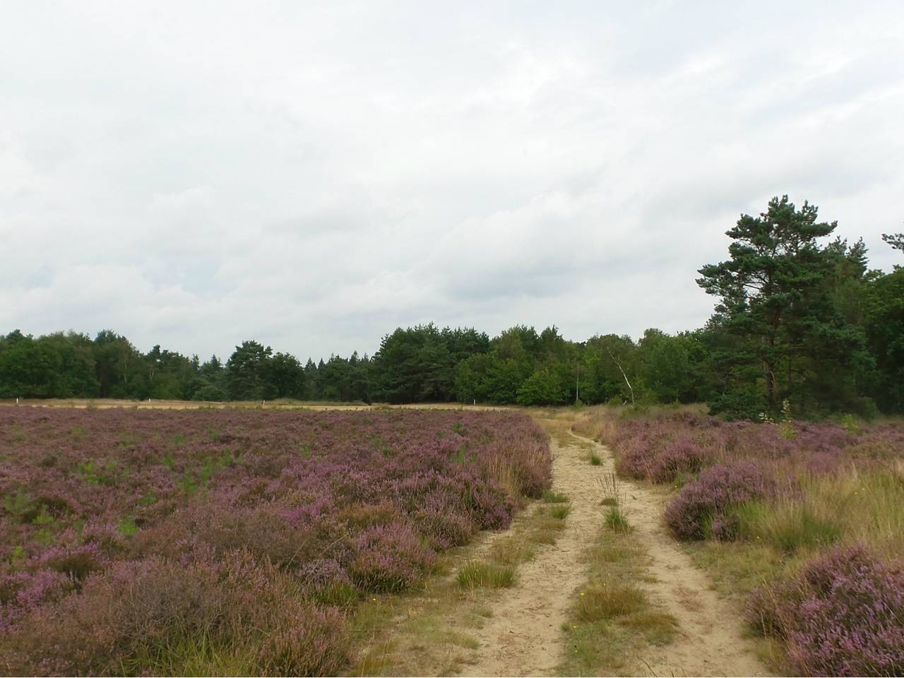 Omroep Brabant