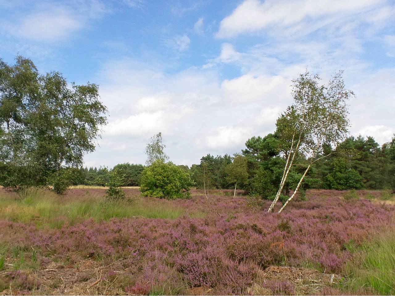 Omroep Brabant