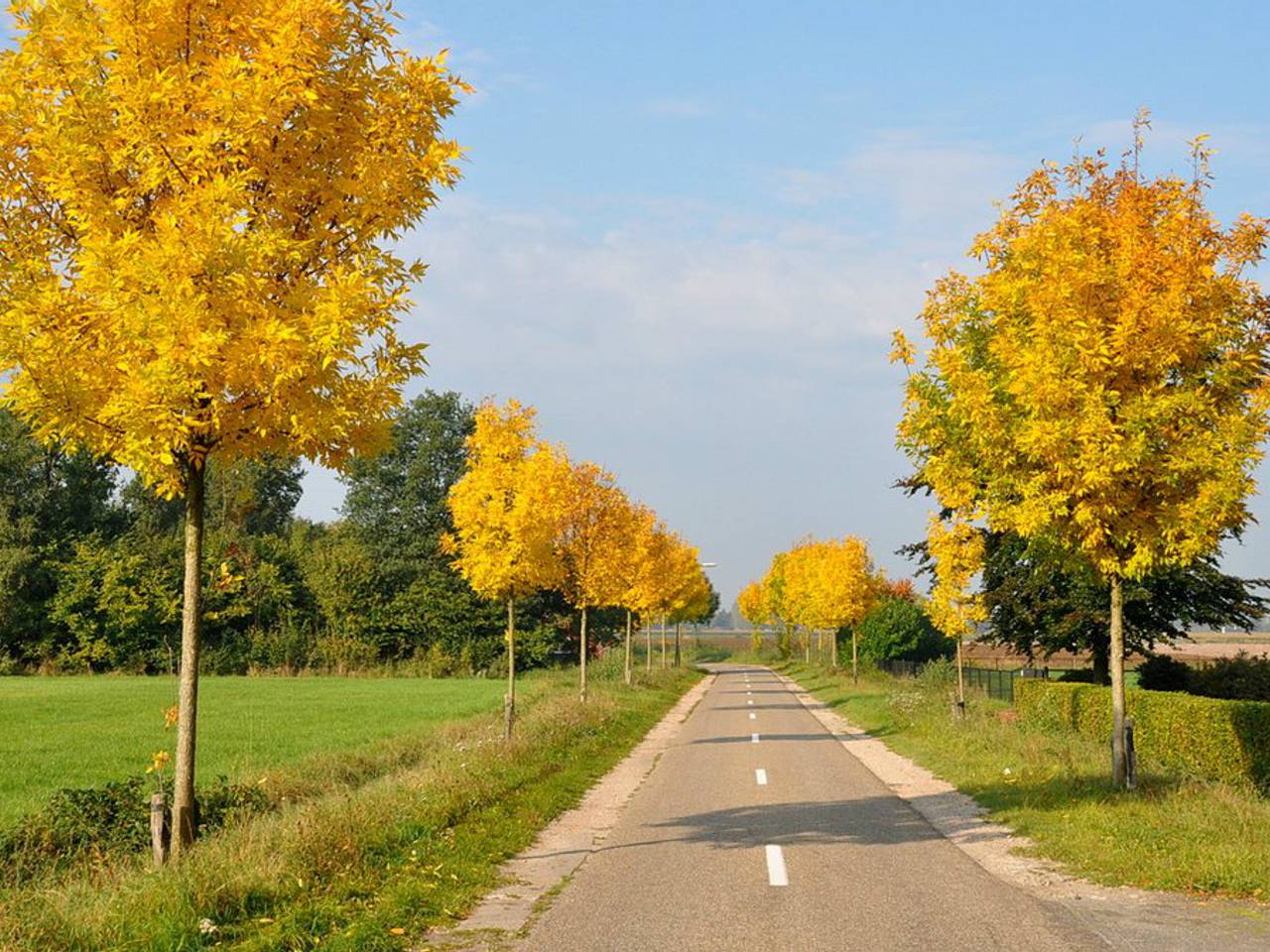 Omroep Brabant