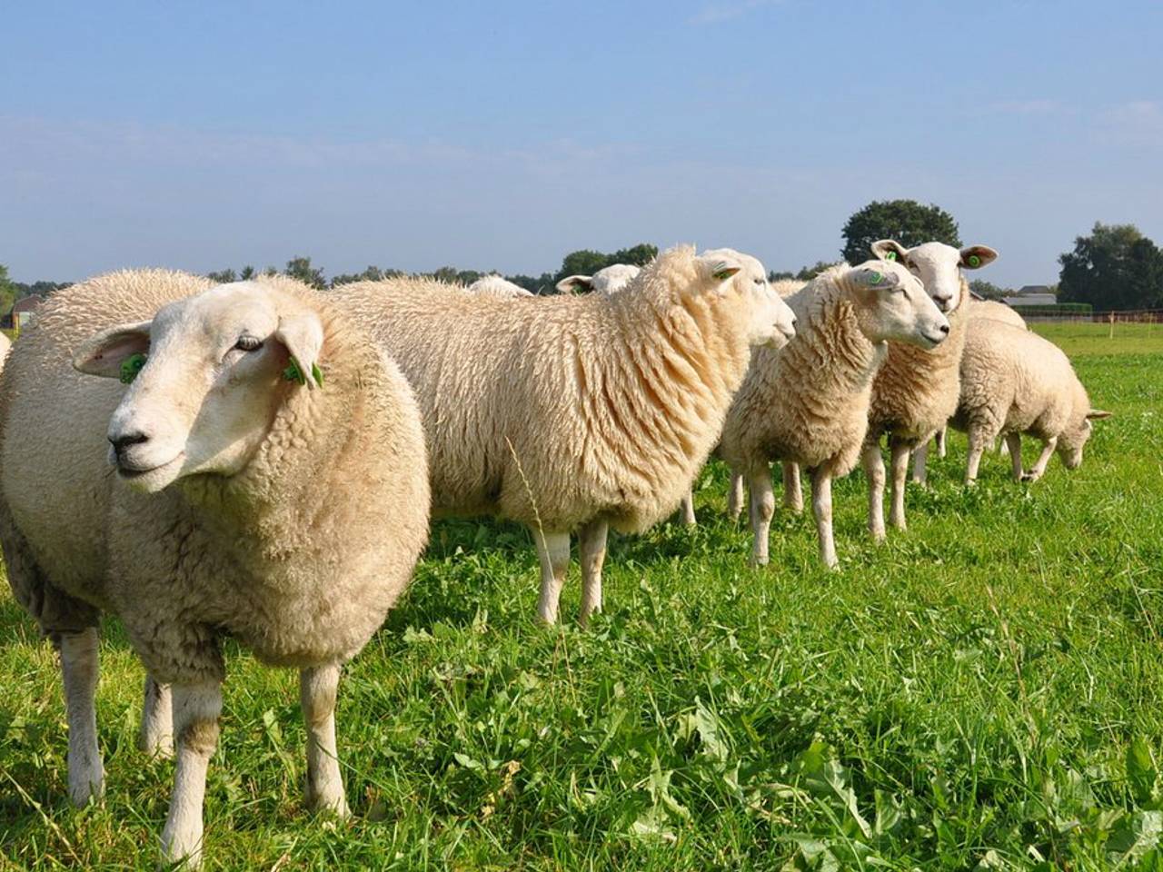 Omroep Brabant